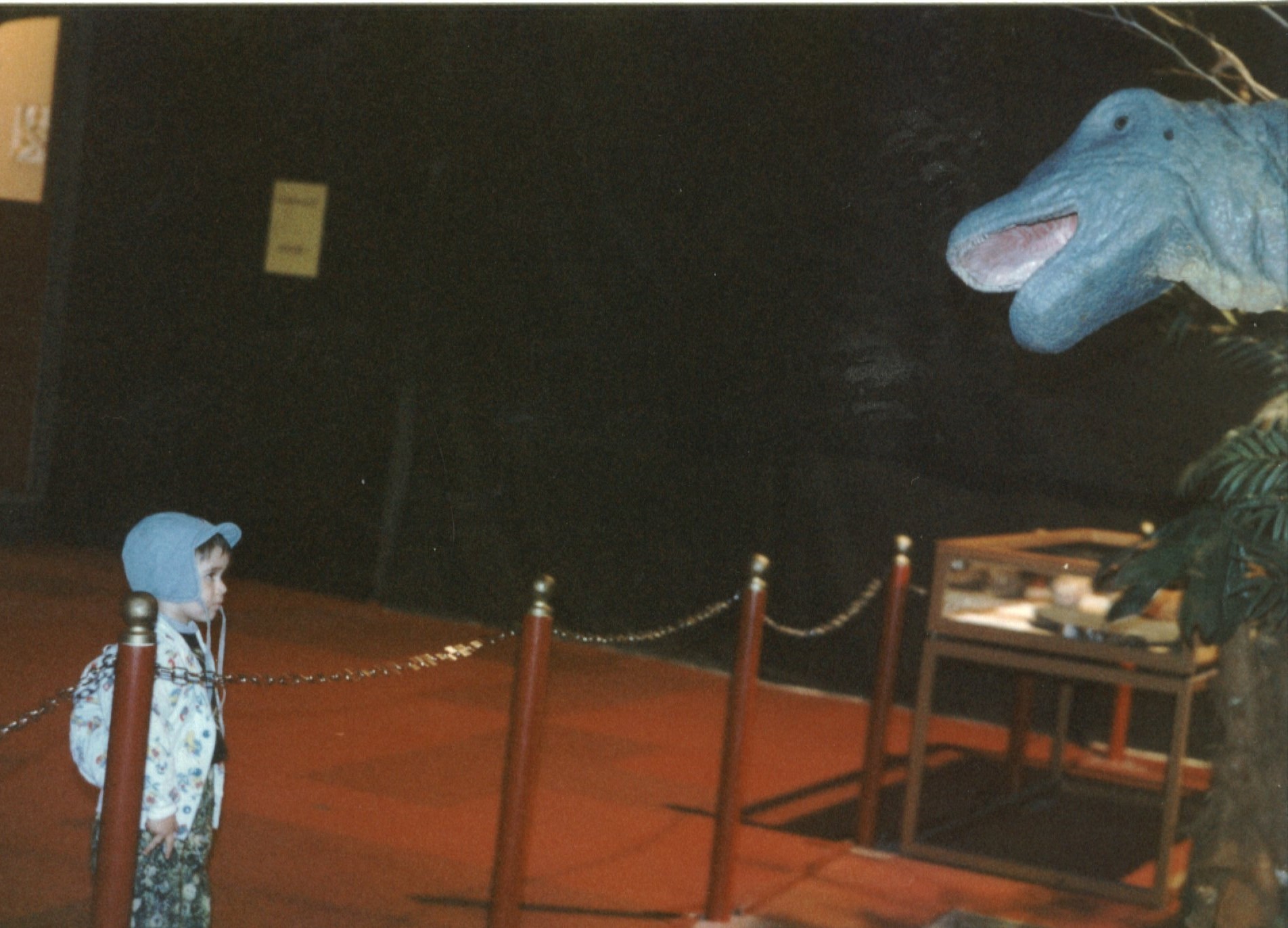 Lőrinczy Márk as a child at a museum exhibit