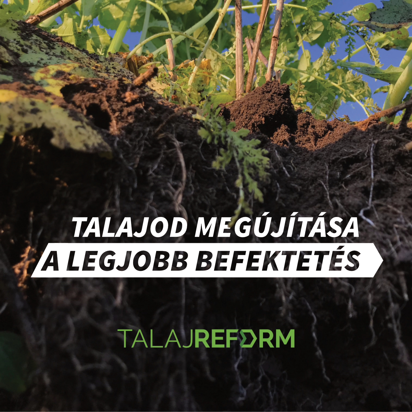 Talajod Megújtása campaign