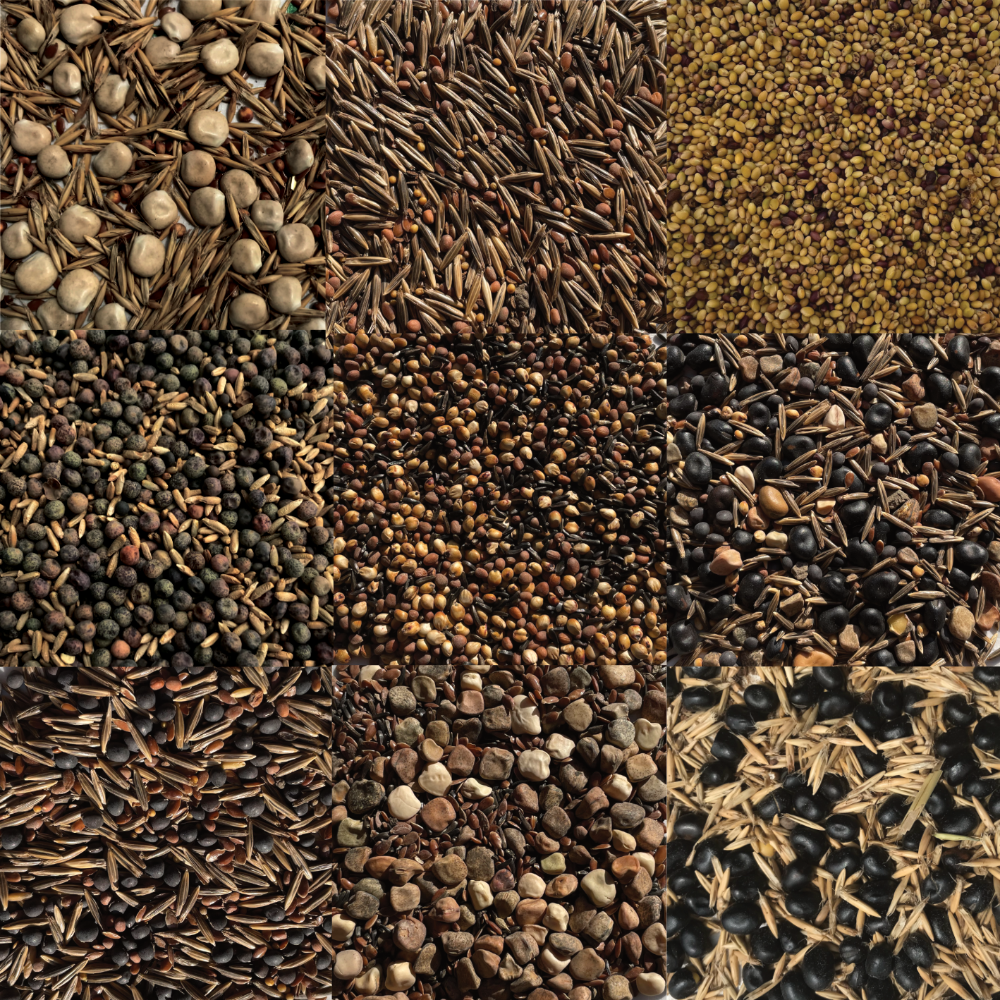 Soil close-up